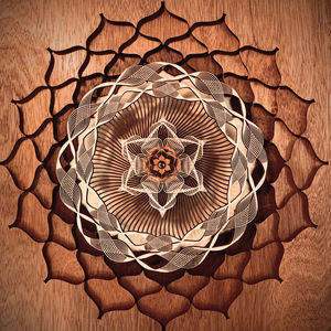 日韩女人大奶头特写视频
