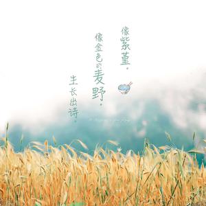 日韩女人大奶头特写视频
