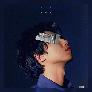 日韩女人大奶头特写视频
