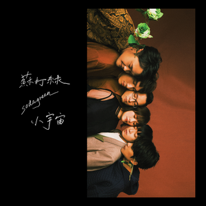 日韩女人大奶头特写视频
