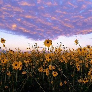 日韩女人大奶头特写视频
